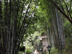 -广东温泉宾馆