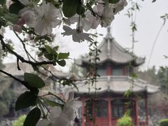 -莲池书院博物馆