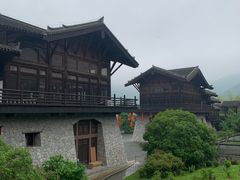 -大唐贡茶院