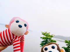 -四明山国家森林公园