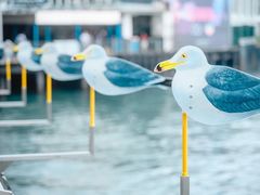 -海港城