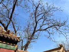 -故宫博物院(故宫)