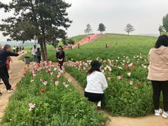 -狼牙山风景区