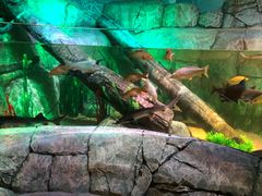 -沈阳海洋探索中心