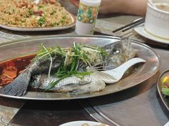 -石岐乳鸽村(南海第三分店)