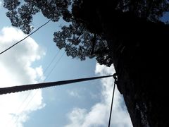 -清迈丛林飞跃 JungleFlight