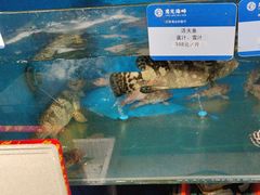 -鹰龙海畔度假酒店(咸祥店)