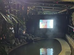 -天赐温泉