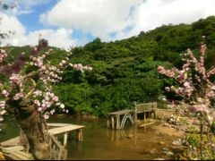 -西涌国际滨海旅游区