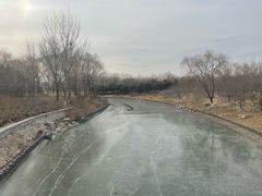 -大兴滨河森林公园