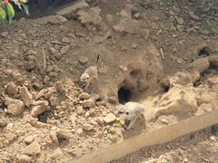 -石家庄市动物园