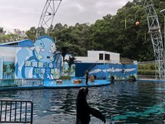 -深圳野生动物园