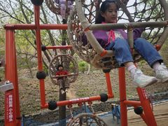 -西部长青自然儿童乐园