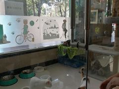 -安安宠医·普外科·内科·心超(佛山同济分院)