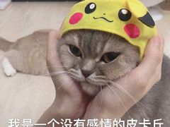 -鲜芋仙Meet Fresh(五道口店)