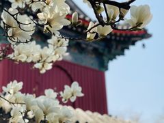 -北京艺术博物馆(万寿寺)