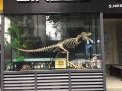 -泡桐树街