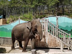 -大连森林动物园