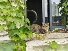 -丝绸小镇荻港古村