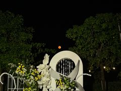 -陶缘一号·四季缘·老字号顺德菜·户外婚礼家宴(西滘店)