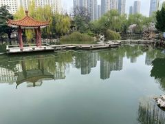 -西苑公园