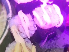 -枫伝料理居酒屋