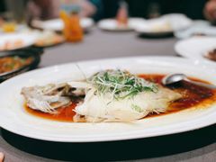 清蒸桂鱼-望乡楼上海菜(日月光店)