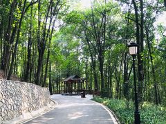 -三门江国家森林公园