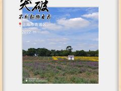-上海杨姆庄园
