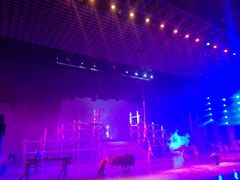 -济南方特东方神画