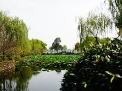 -无锡蠡湖国家湿地公园-蠡园
