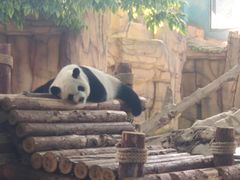 -泉州海丝野生动物世界