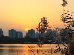 -朝阳公园
