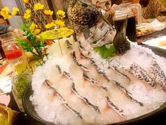 -洞仙锅(花园街店)
