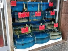 水产区-北戴河庆山饭店·海鲜砂锅粥(北戴河黑石路店)