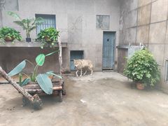 -西安秦岭野生动物园
