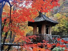 -本溪老边沟风景区