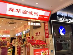 -舜华临武鸭·湖南零食特产(三王街店)