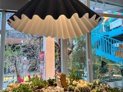 -春树下·树屋花房西餐厅(罍街AS1980店)