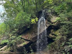 -西塔大冷面(市府大路店)