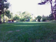 绿地-沈阳植物园