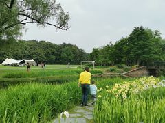 -共青国家森林公园-售票处