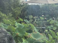 -观宴·品质赣菜(高新大道店)