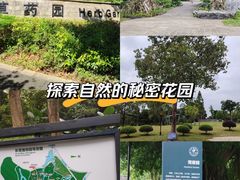 -东莞植物园