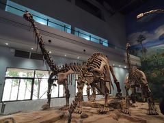 -自贡恐龙博物馆