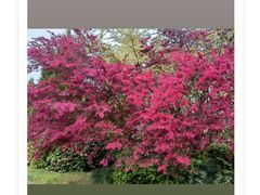 -虹御轩·传承江浙菜(虹桥店)