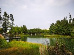 -尚贤河湿地