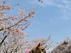 -龙美术馆(西岸馆)
