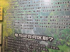 -上海大自然野生昆虫馆(东方明珠·爬宠昆虫探索中心)