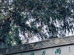 -雨花胜境
